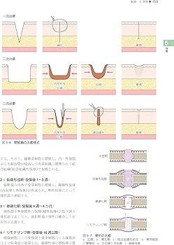 標準口腔外科学 第5版 (Standard textbook) | 内山 健志, 近藤 壽郎