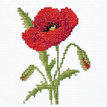 Amazon.com: Red Poppy - Counted Cross Stitch kit for Hand