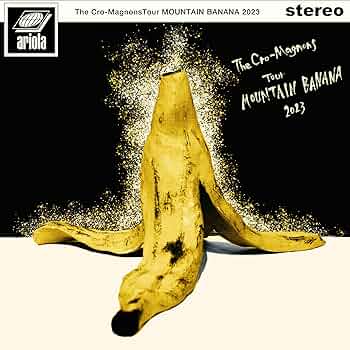 Amazon.co.jp: ザ・クロマニヨンズ ツアー MOUNTAIN BANANA 2023 (完全