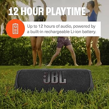 Amazon.com: JBL Flip 6 (Squad) + Bundle with divvi! Protective