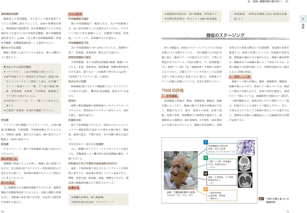 治療方針がみえてくる犬と猫の腫瘍診療 | 田川 道人 |本 | 通販 | Amazon