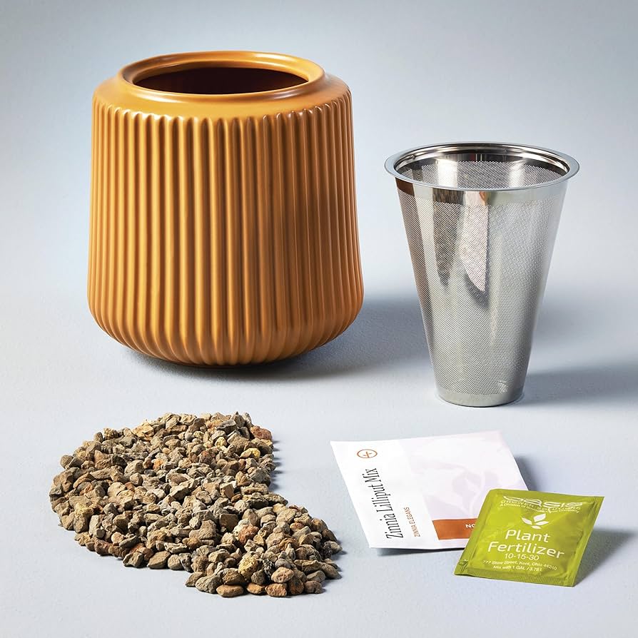 Amazon.com : Modern Sprout Flower Grow Kit - Ceramic Planter with