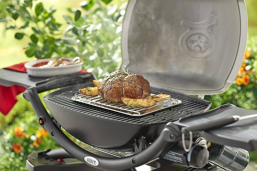 Amazon.com : Weber 6563 Original Q Roast Rack for Grilling, Small