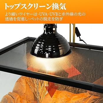 Amazon | 243L 爬虫類ケージ グラステラリウム 透明 飼育ケース 飼育