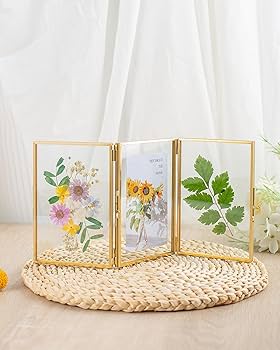 Amazon.co.jp: Jajamy ゴールド 4x6 トリプルピクチャーフレーム