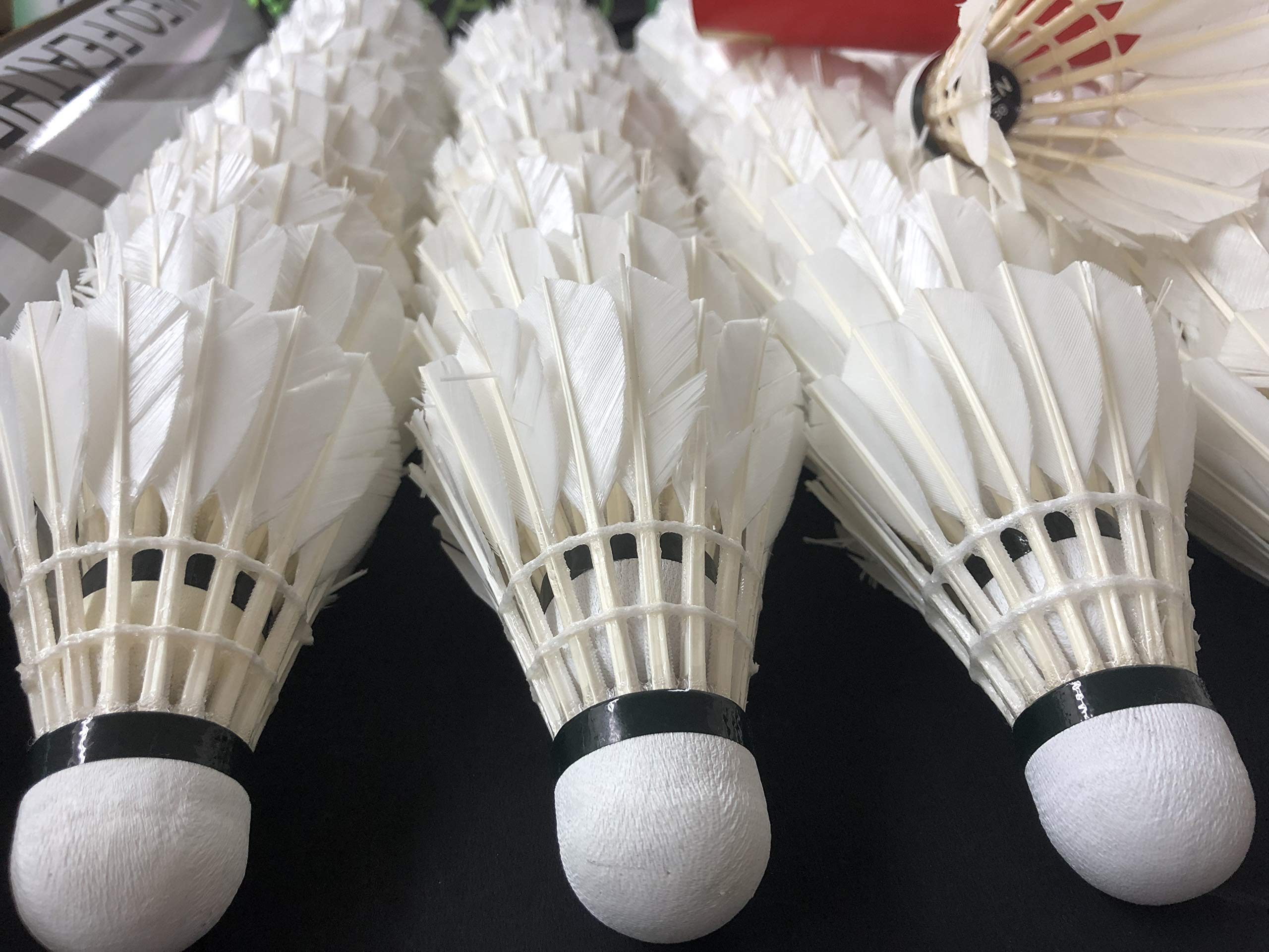 Amazon | バドミントン 中古シャトル 120個 頑張らない ガンバラナイ