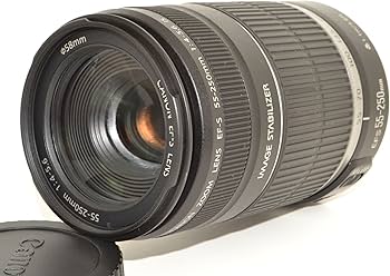 ✨完動品✨Canon EF-S 55-250mm IS STM 手ぶれ補正 望遠 高性能な望遠
