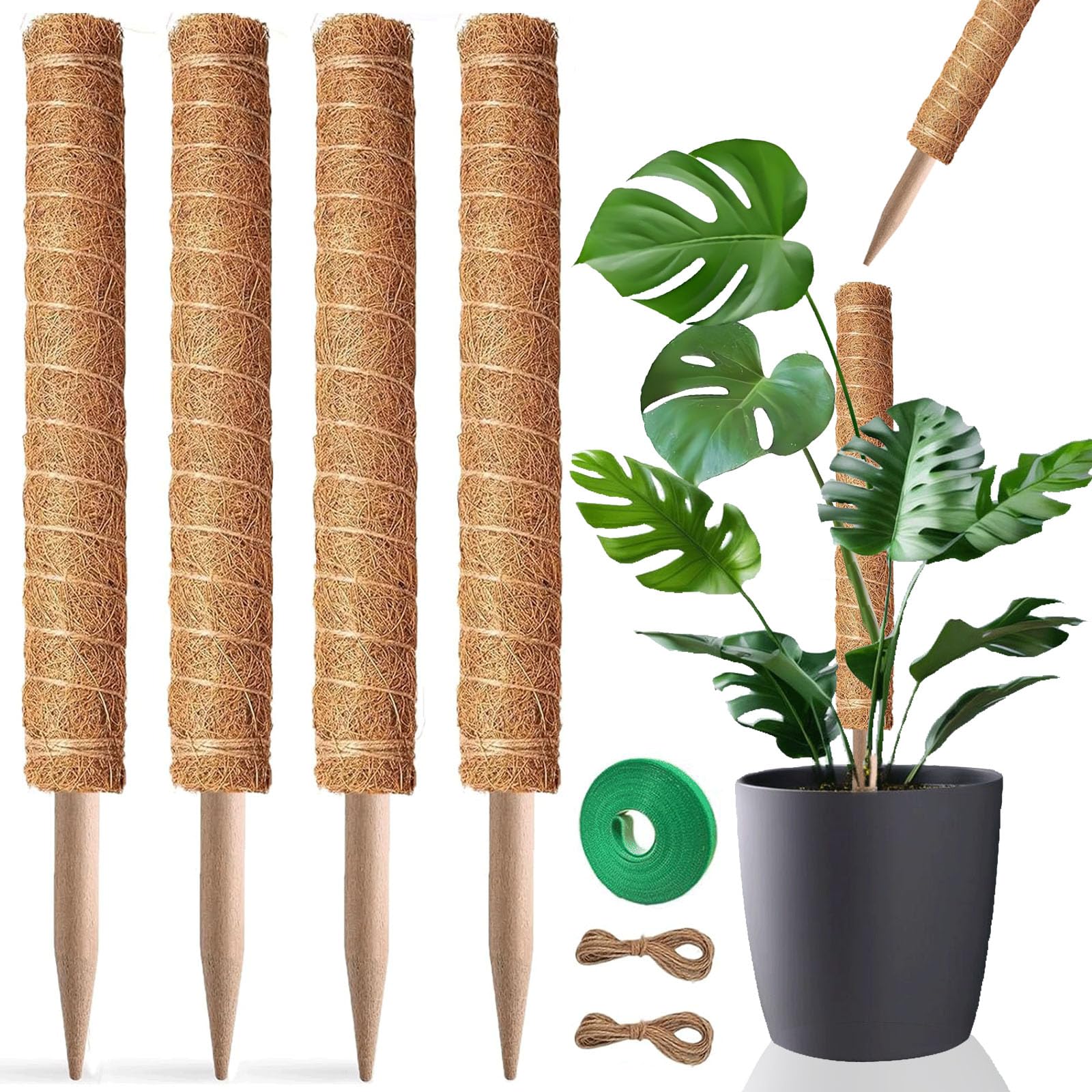 Amazon.com : Moss Pole, 4Pack 21 Inch Plant Support Stakes for