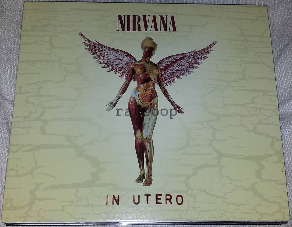NIRVANA - In Utero: 20th Anniversary: Deluxe Edition - Amazon.com