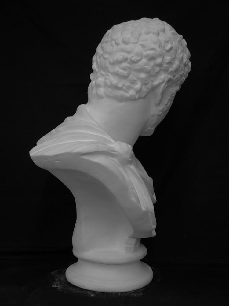 Amazon.co.jp: 石膏像 K－136 カラカラ帝胸像 H．64cm