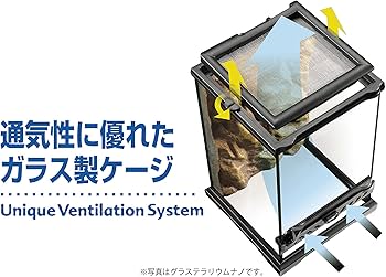 Amazon | GEX EXOTERRA グラステラリウム9060 PT2614 両開きフロント