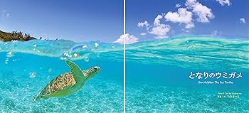 となりのウミガメ Our Neighbor The Sea Turtle (うみまーる写真集