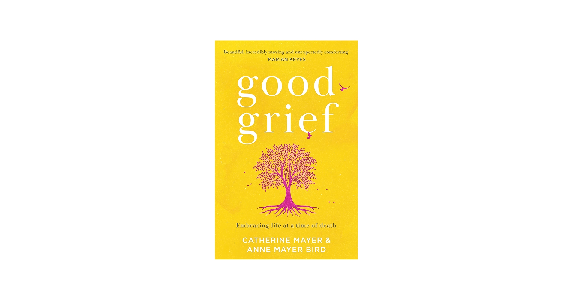 Good Grief: A self-help guide to recovery after death, and memoir