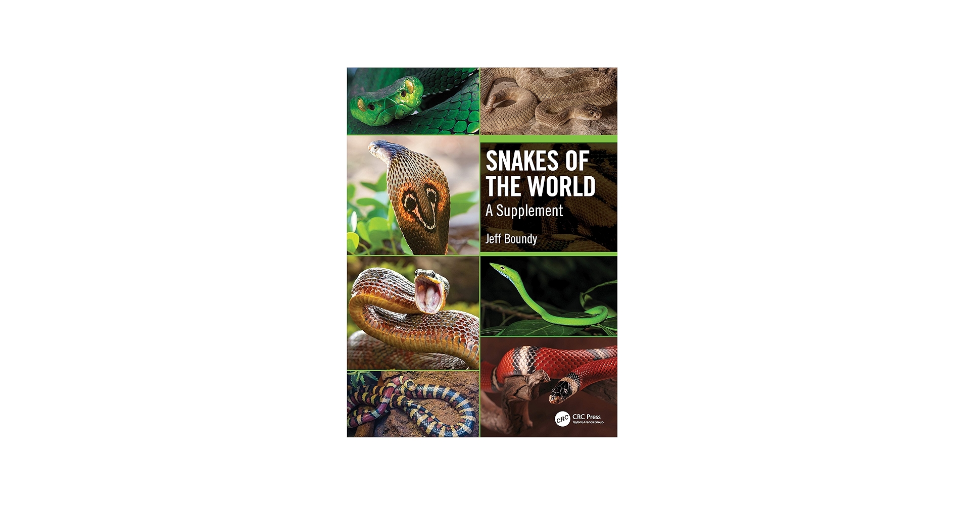 Snakes of the World: A Supplement: Boundy, Jeff: 9781138618138