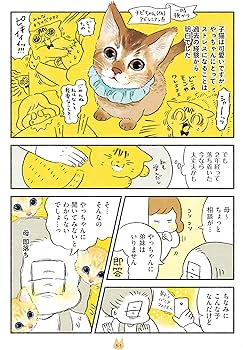 茶トラのやっちゃんとちーちゃん | 類 |本 | 通販 | Amazon