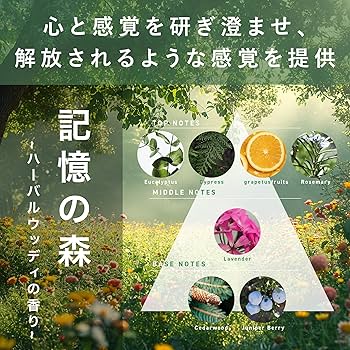 Amazon | SINN PURETE （ シンピュルテ ） ピュアクレンジング クリア