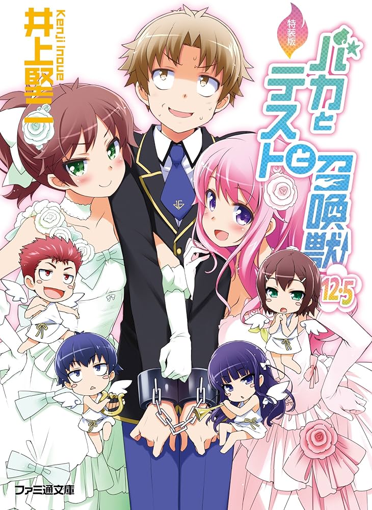 Amazon.co.jp: 特装版 バカとテストと召喚獣12.5 (ファミ通文庫