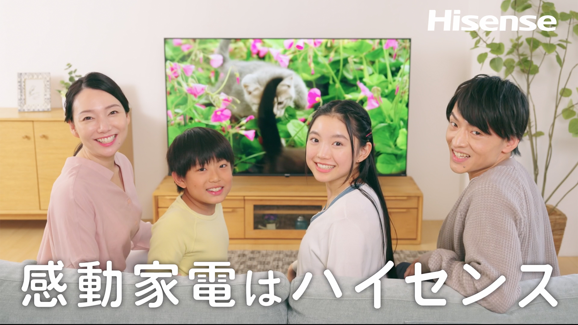 Amazon | Hisense 50V型 4Kチューナー内蔵 液晶 テレビ 50E6K ネット