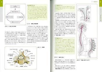 カイロプラクティック テクニック教本 ――理論と実践―― | ヘンリク