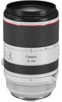Amazon.com : Canon RF 70-200mm F2.8 L is USM : Electronics