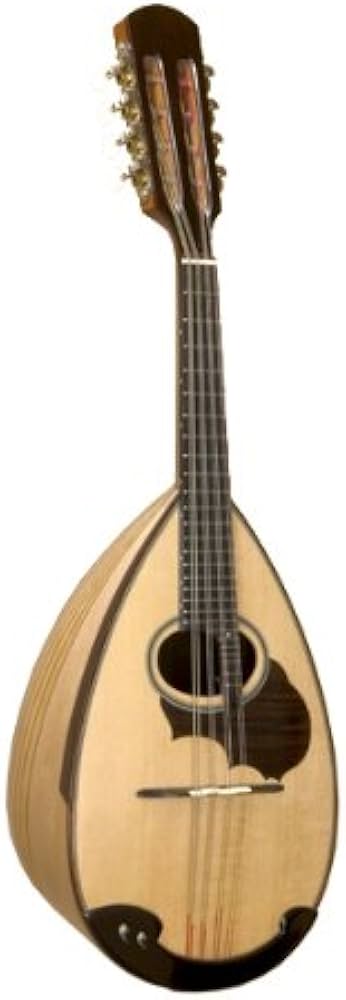 Amazon | 鈴木マンドリン M-30 SUZUKI スズキ振動弦長336ミリ メイプル