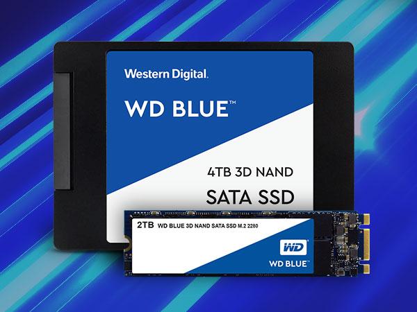 Amazon.com: Western Digital 1TB WD Blue 3D NAND Internal PC SSD