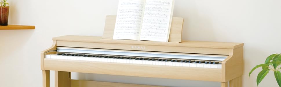 Amazon | KAWAI CN29 LO 電子ピアノ 88鍵盤 カワイ | 電子ピアノ