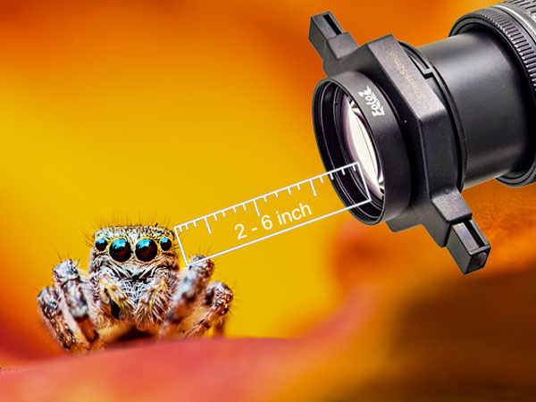 Amazon | FotoZハイビジョンスナップマクロレンズ、37-52 mmと55-72 mm