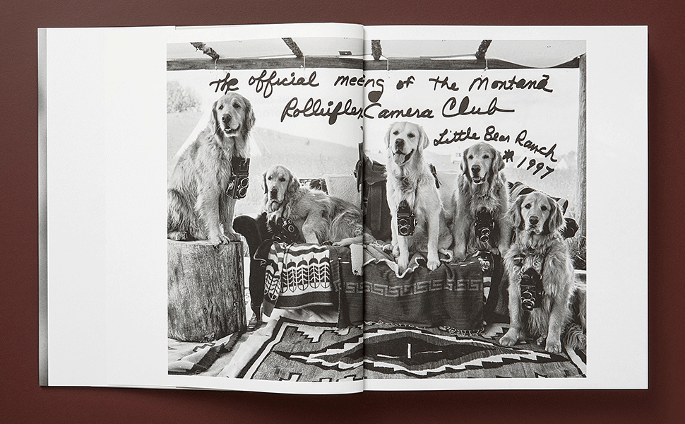 Amazon.com: Bruce Weber. The Golden Retriever Photographic Society