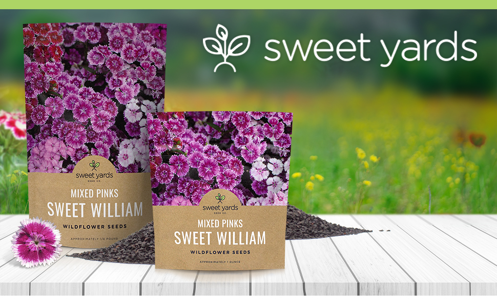 Amazon.com : Sweet William Seeds – Mixed Pink Colors – Extra Large