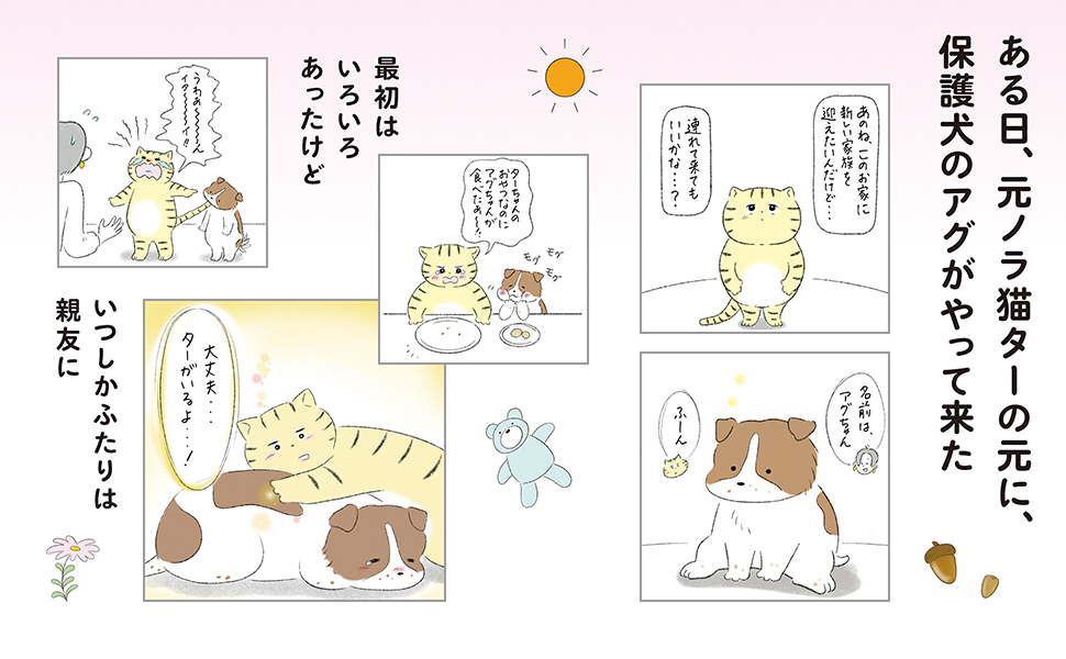 ターとアグのしあわせ日和 元ノラ猫と元保護犬、ふたりは親友 | 村上
