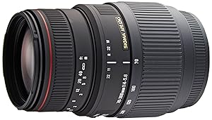 Amazon.co.jp: シグマ(Sigma) SIGMA 望遠ズームレンズ APO 70-300mm F4
