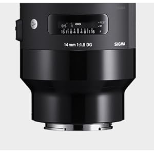 Amazon.co.jp: シグマ(Sigma) レンズ 70mm F2.8 DG MACRO Sony ソニー