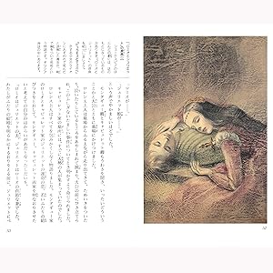 少年少女 世界名作の森 全20巻セット | ヴィクトル・ユゴー