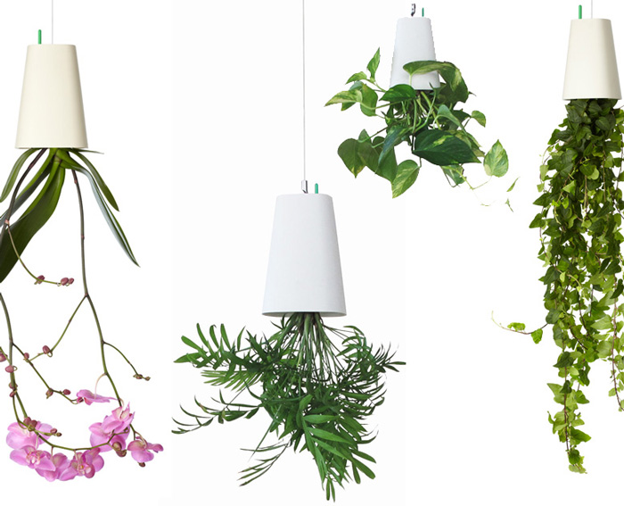 スカイプランター｜[公式] e-花屋さん 本店