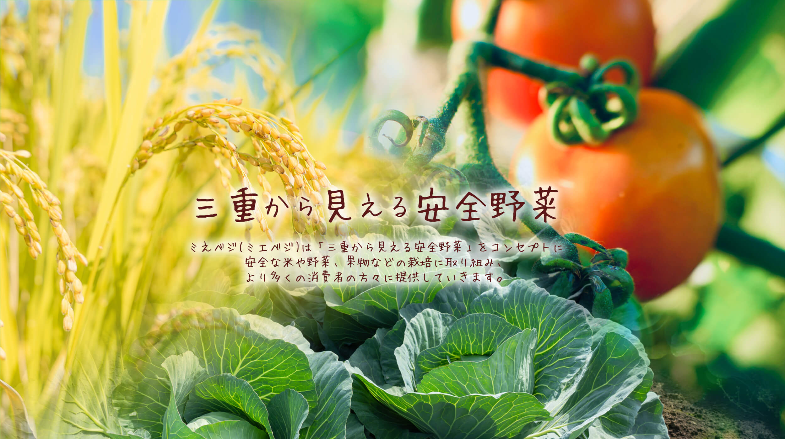 ミえベジ(ミエベジ) - 三重から見える安全野菜ミえベジ
