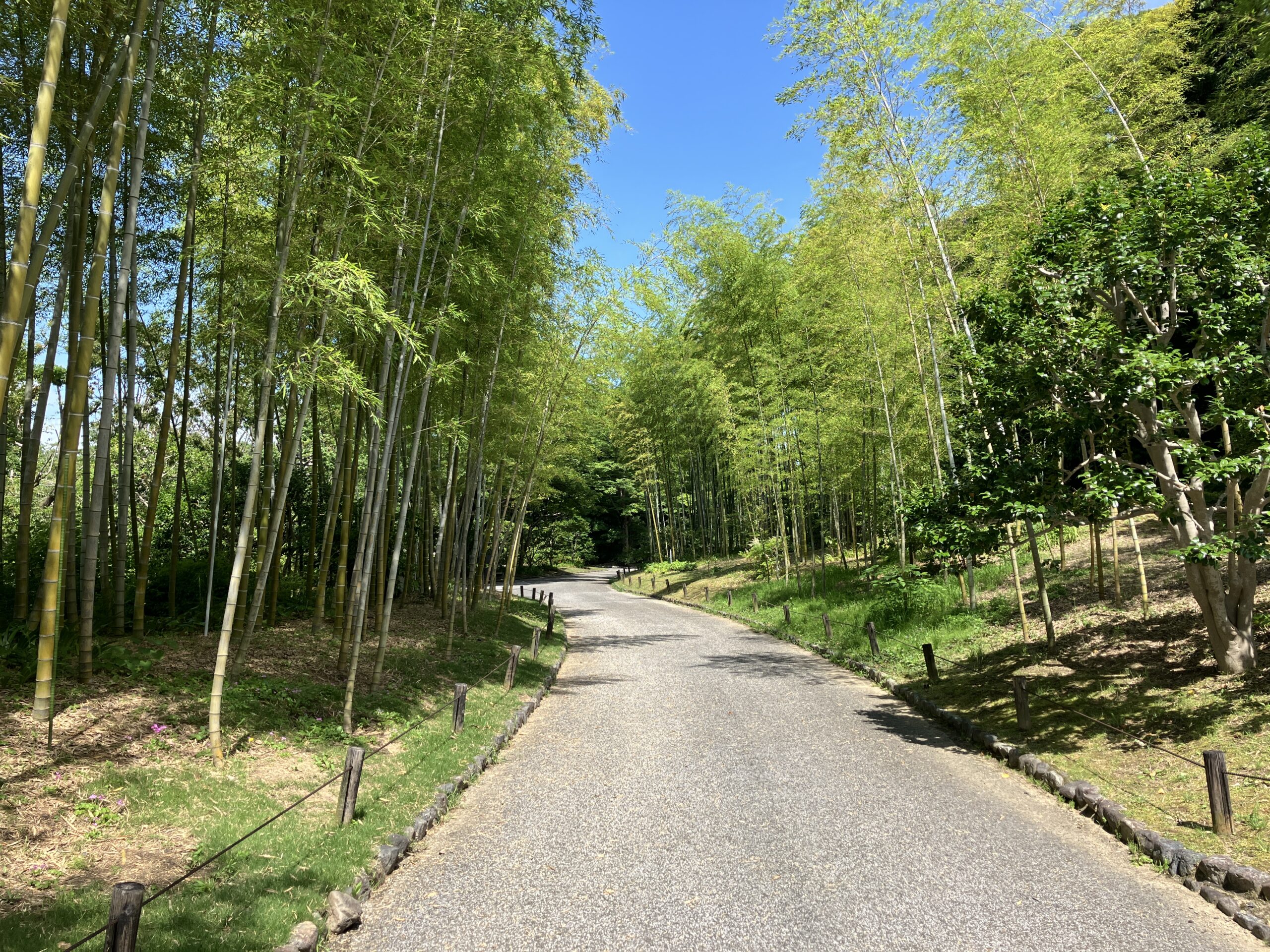 万博記念公園】ぼっち社会人のお出かけ記録 - Misoaji Diary