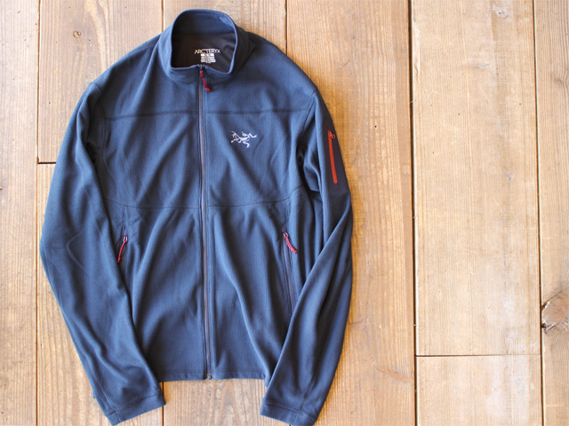 この時期の低山ハイクにオススメフリース アークテリクスのDelta LT