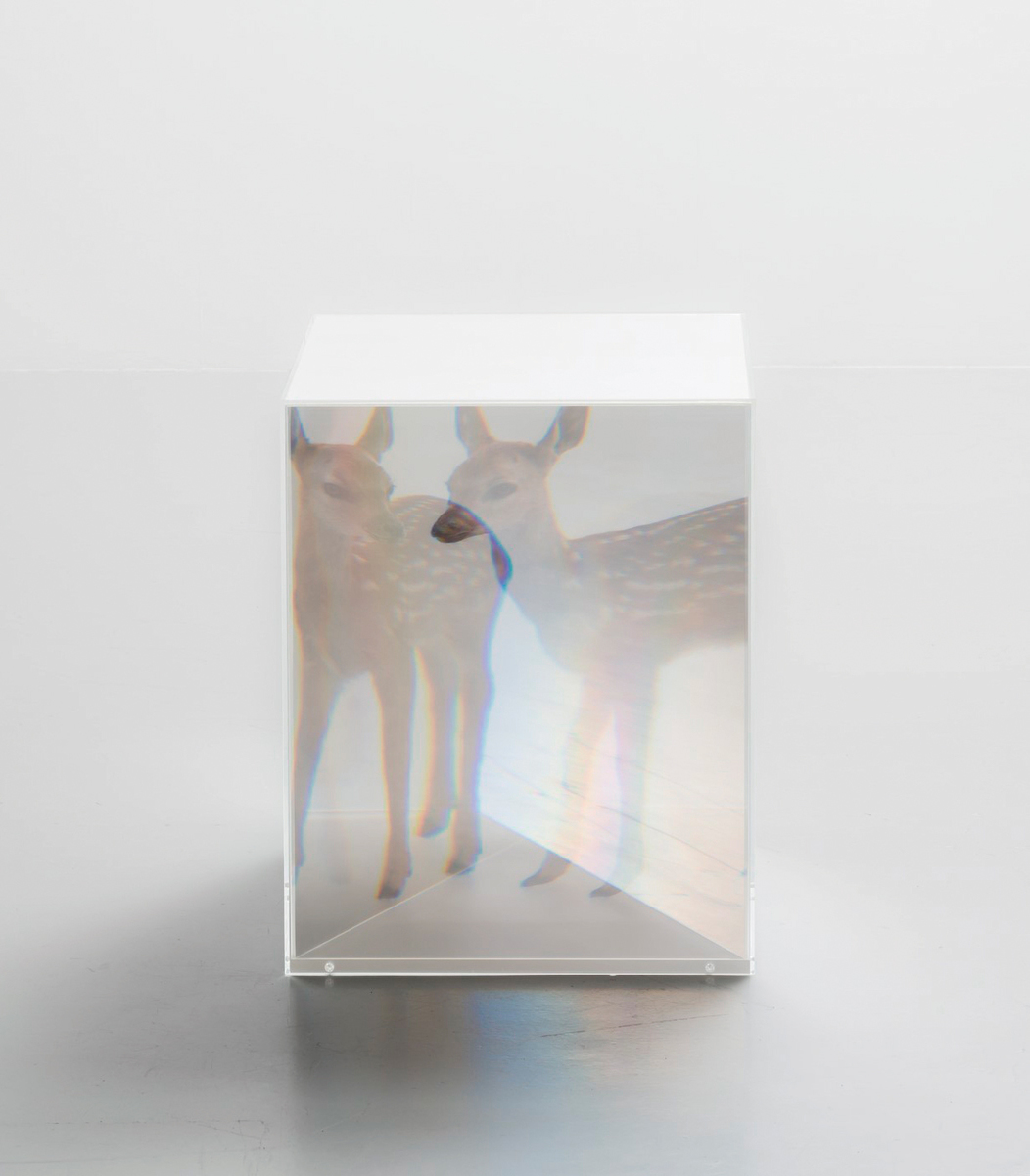 作品 ┃ 東京都現代美術館コレクション検索