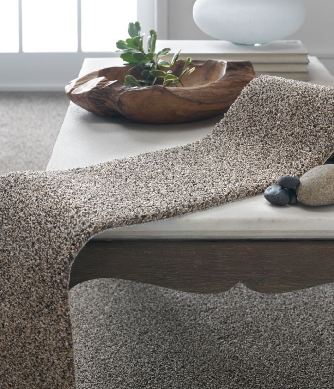 Shop Phenix Intrinsic Central N222-107 Carpet | Randy's Flooring