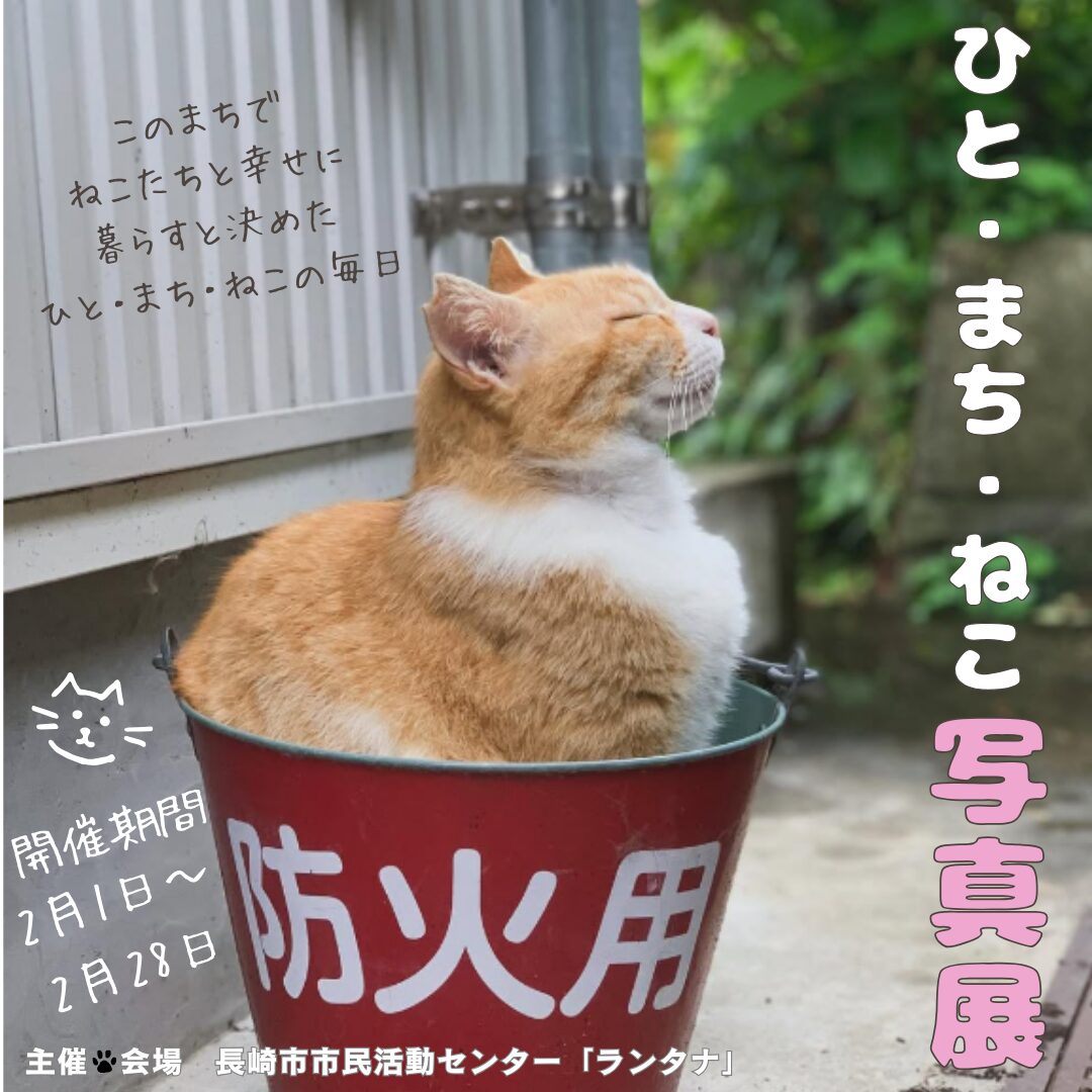 2/1~2/28 ひと・まち・ねこ写真展 | 長崎市市民活動センター ランタナ
