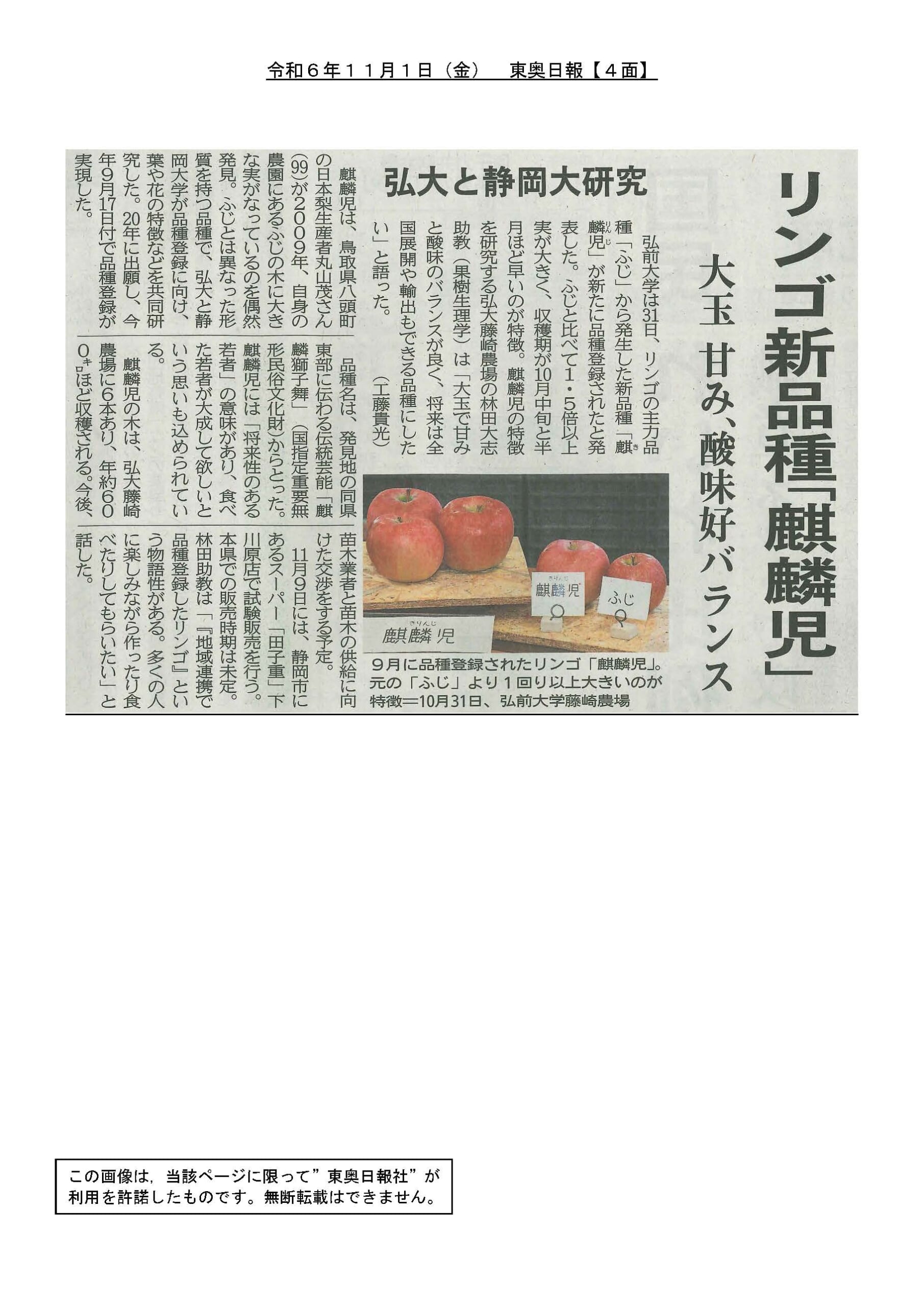 東奥日報 令和6年11月1日（金）掲載記事『リンゴ新品種「麒麟児
