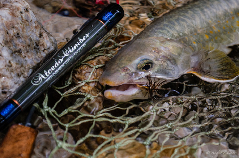 シンプリー｜ニュース（総合ブログ） ｜Casket カスケット