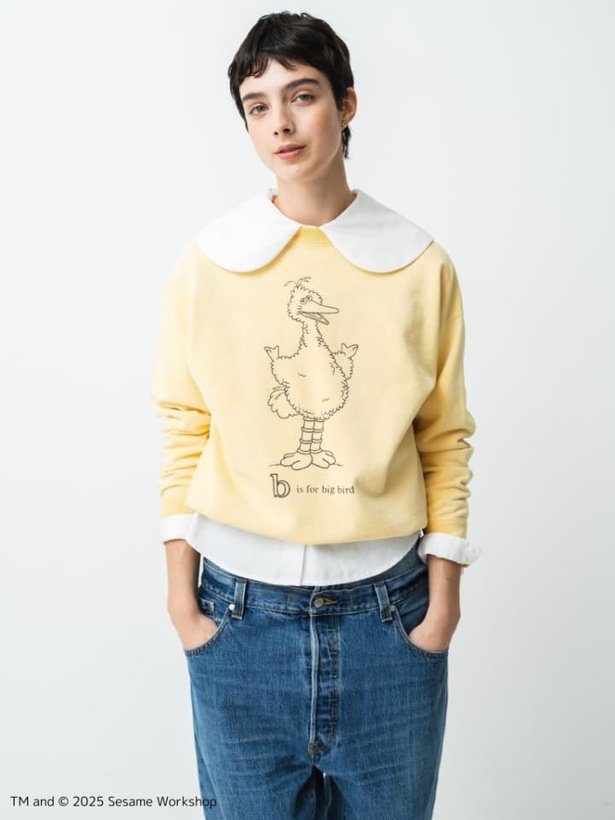 セサミストリートと「RHC ロンハーマン」が初コラボ！キャラの魅力が