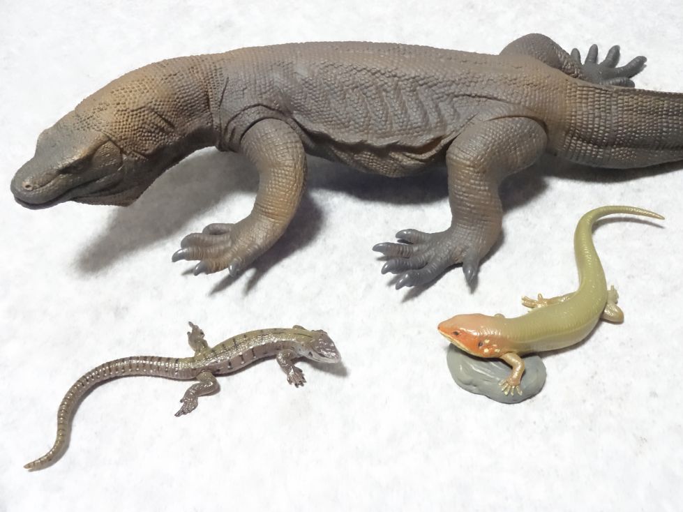ソフビトイボックス005コモドドラゴン