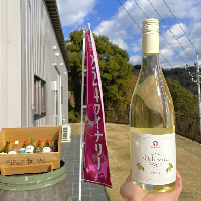 224WINERY｜小豆島醸造デラウェア｜小豆島｜香川県｜日本ワイン