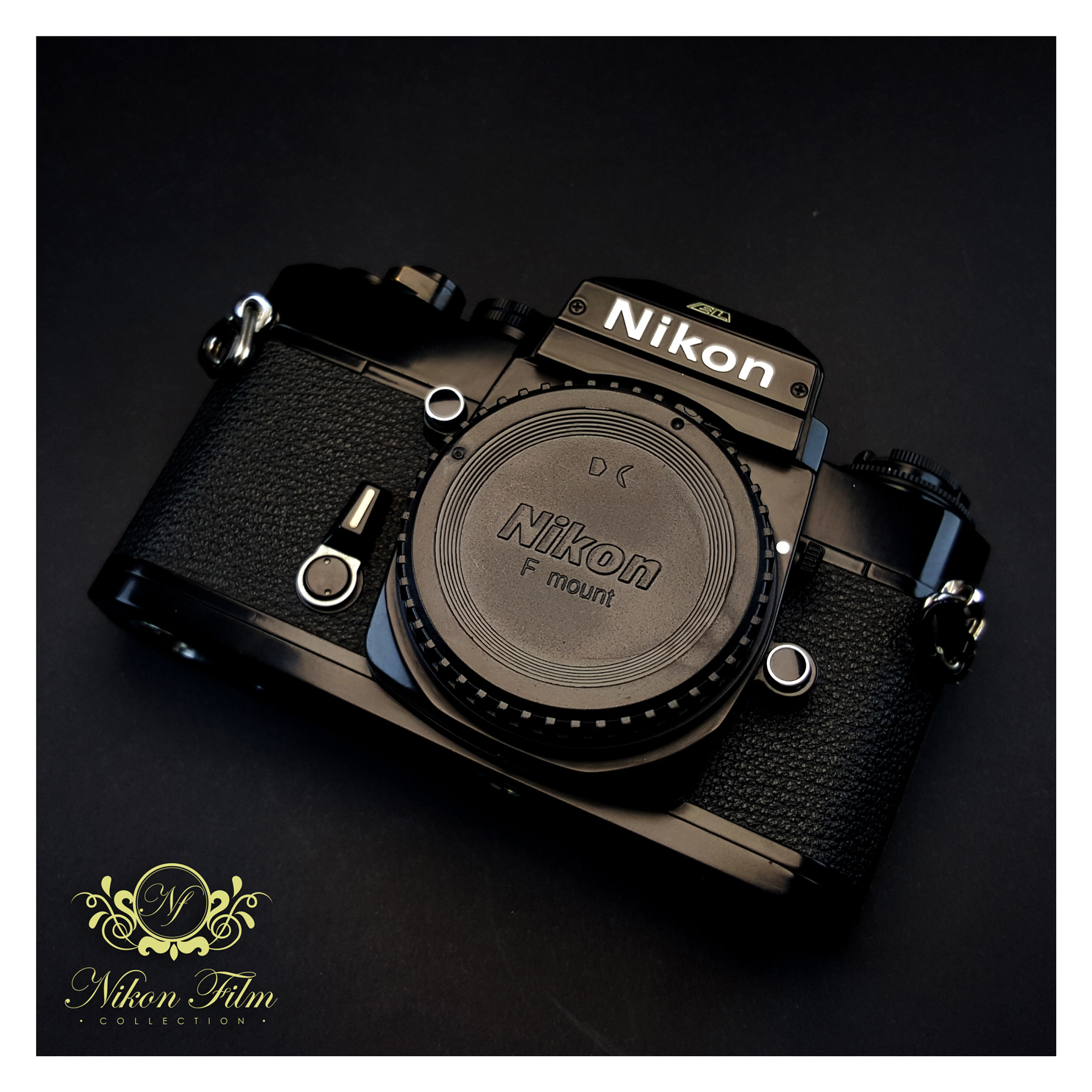 Nikon EL2 Archives - NIKON-FILM