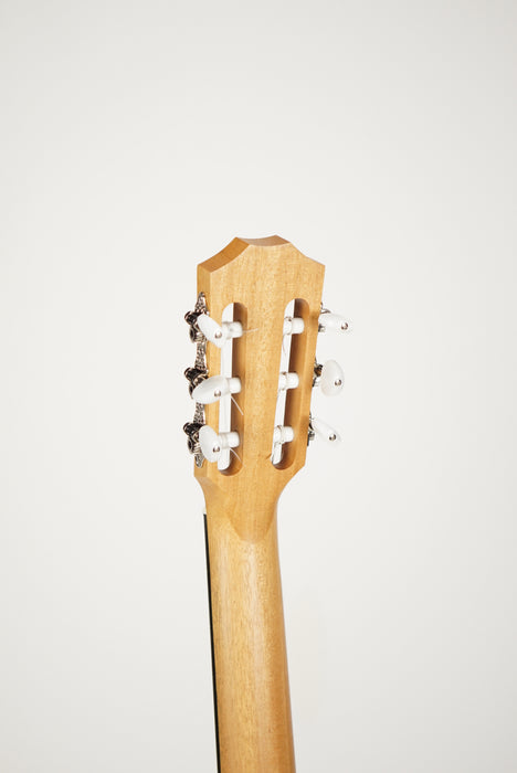 Taylor Academy 12-N Sitka and Walnut — Northern Lights Music