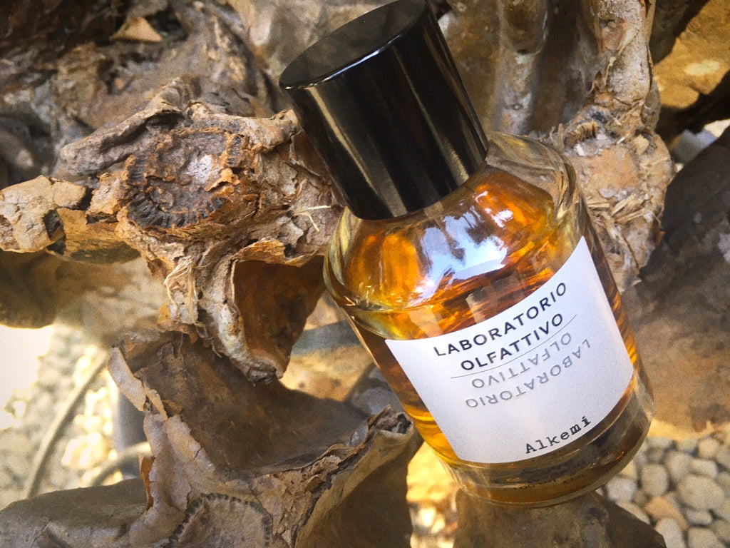 私の偏愛香水【新宿店 阿部編】 – NOSE SHOP