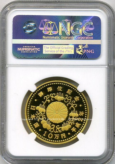 imgg886_1_400x.jpg?v=1689654284